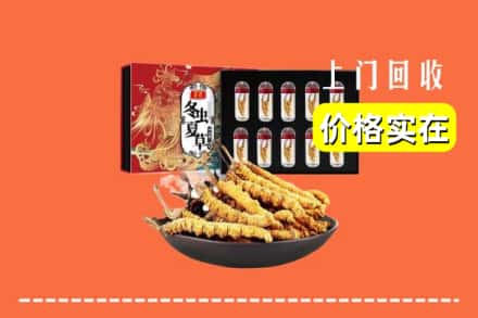 潍坊高密市回收冬虫夏草